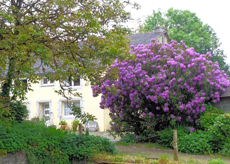 La vallée du Rivoal