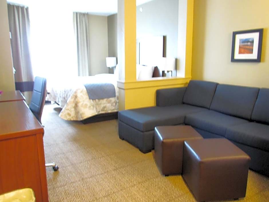 Photo 1 of 13 of King Suite with Sofa Bed