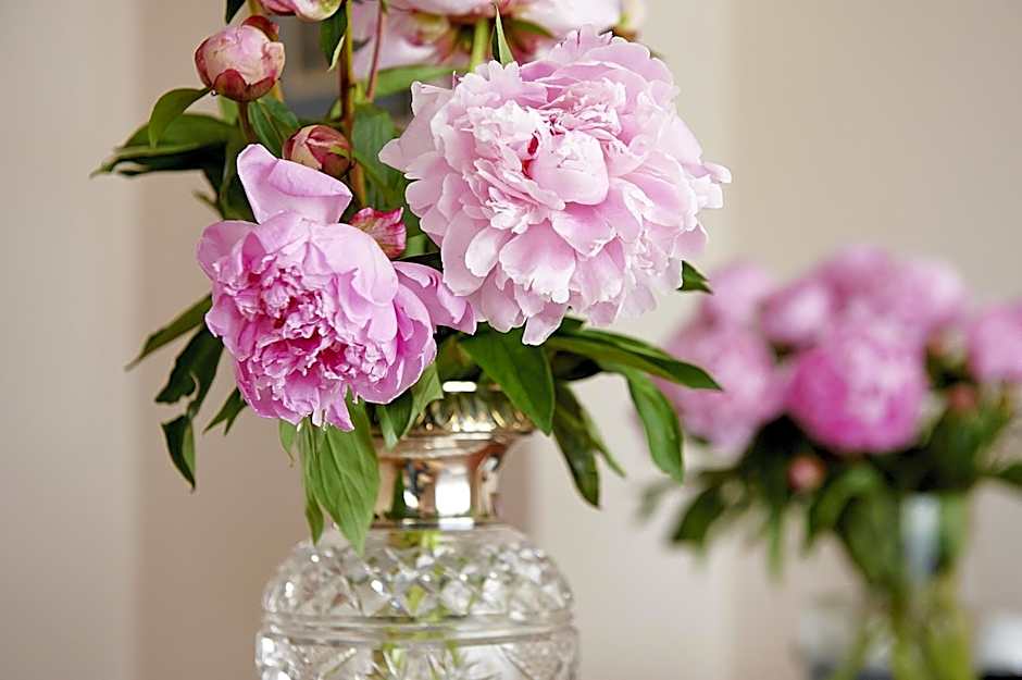 Hotel Admiral am Kurpark