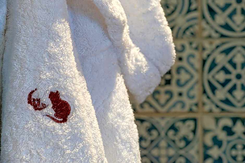 Gato Preto de Silves - Adults Only