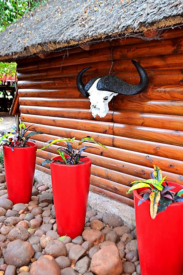 Wielewaal Bush Lodge