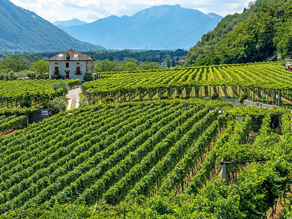 Locanda L'Amorosa