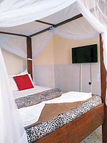 Double Room with Shared Bathroom