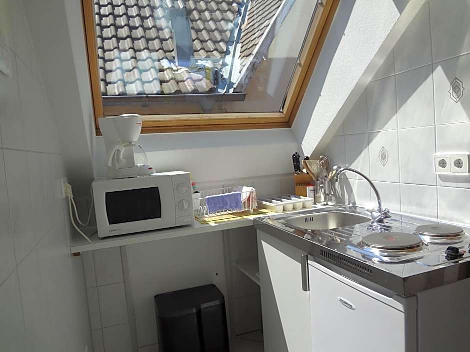 Hotel Rose Heidelberg inklusive Frühstück, Saunanutzung und Parkplätze nach Verfügbarkeit