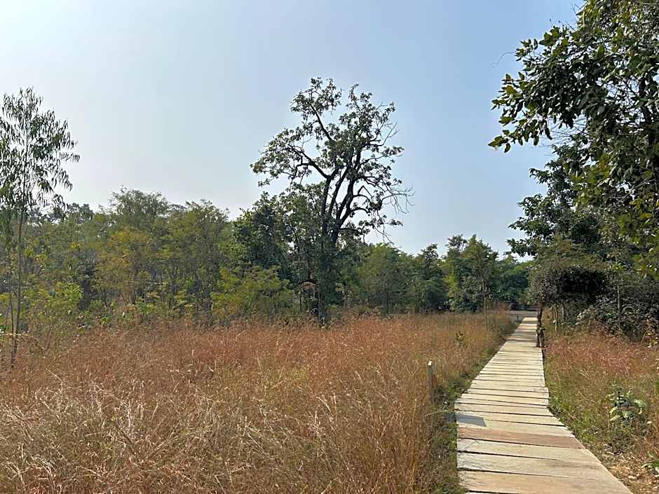 Tree of Life Ramvilas, Bandhavgarh
