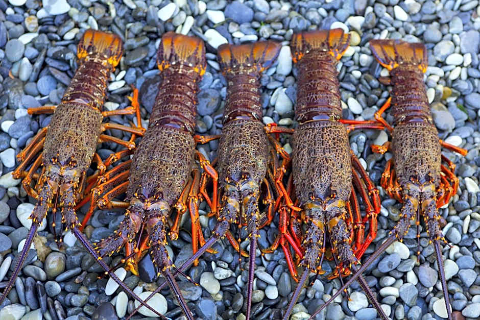 The Factory Luxury Accomodation