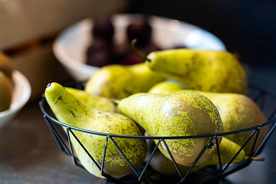 ibis Styles Paris Porte dOrleans