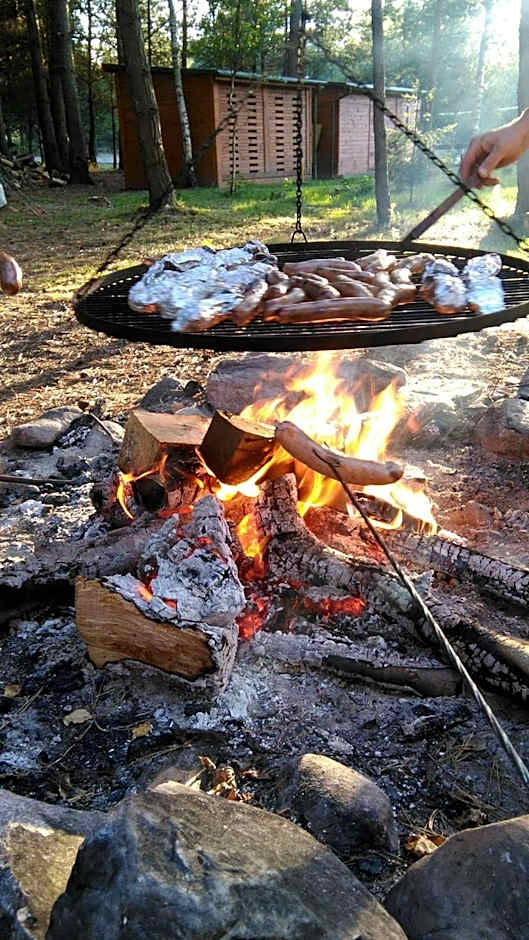 Domki nad Wartą Kajaki & SPA