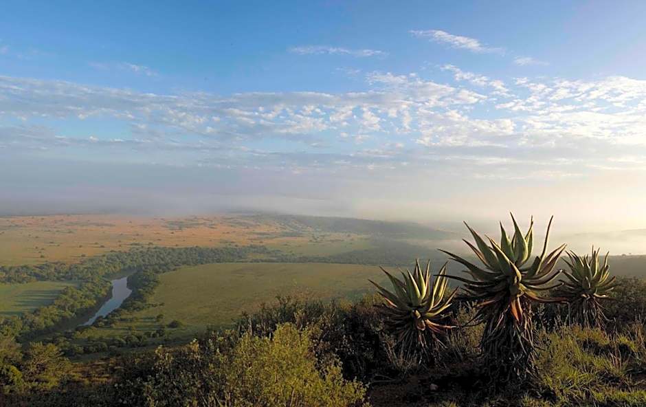 Hlosi Game Lodge - Amakhala Game Reserve