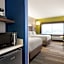 Holiday Inn Express & Suites Edinburg- Mcallen Area By IHG