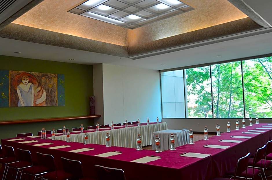 Holiday Inn Guadalajara Select By IHG