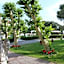 Park Hotel Villa Ariston