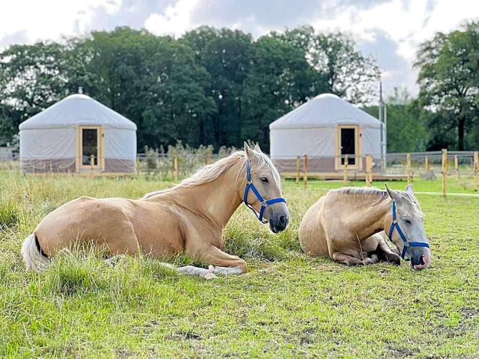 Magnolia Hoeve - Unieke Bestemming voor Paardenliefhebbers en Bijzondere Overnachtingen in de natuur