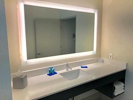 Suite King Bed Non Smoking