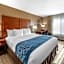 Comfort Inn & Suites Ventura Beach
