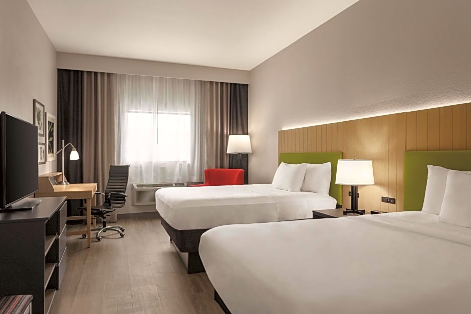 Photo 1 of 1 of 2 Queen Beds Suite, Accessible