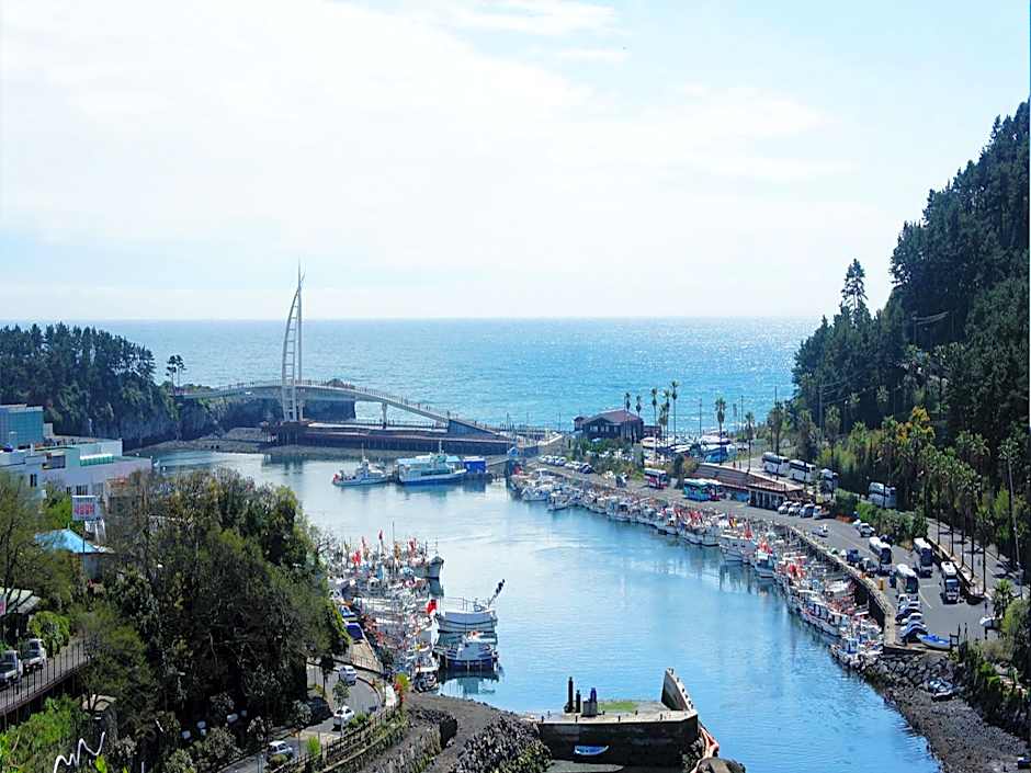 Shinshin Hotel Jeju Ocean