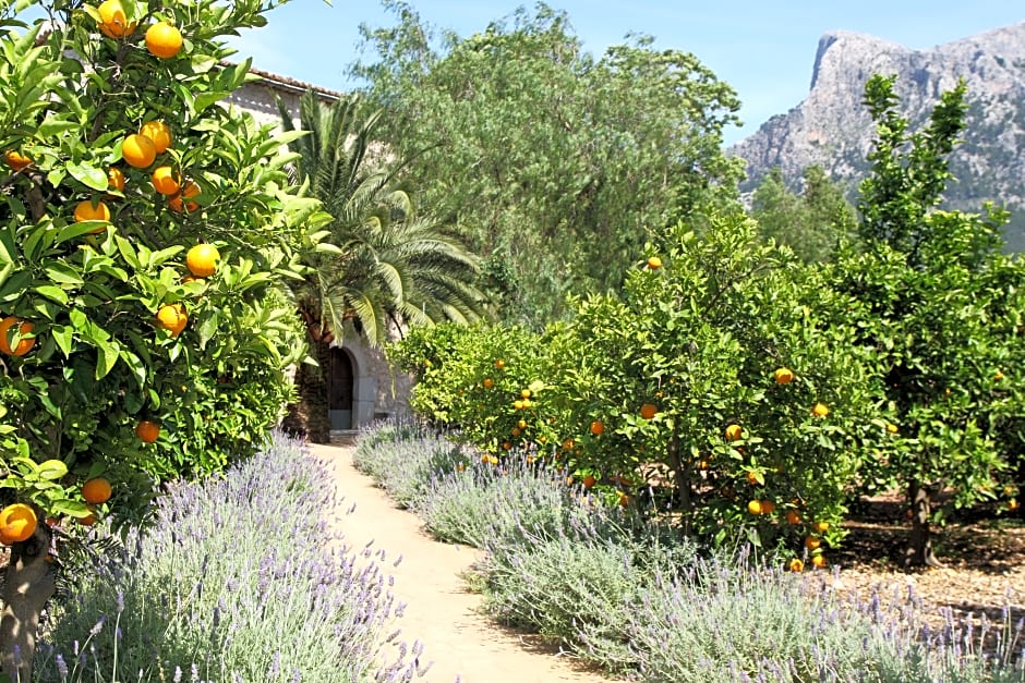 Hotel Finca Ca's Curial