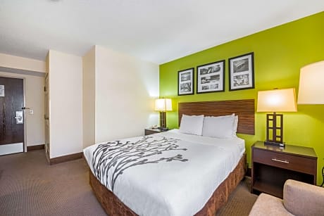 1 Queen Bed, Nonsmoking, Accessible