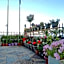 Hotel Akti