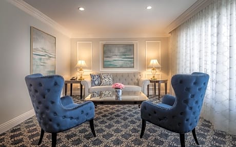 Plaza Luxury Suite King (1 King Bed)