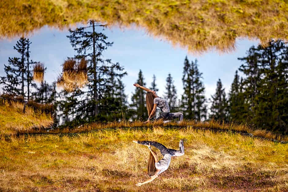 Alpin Residenz Dachsteinperle