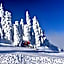 Apartament Alpin Poiana Brasov , etaj 8