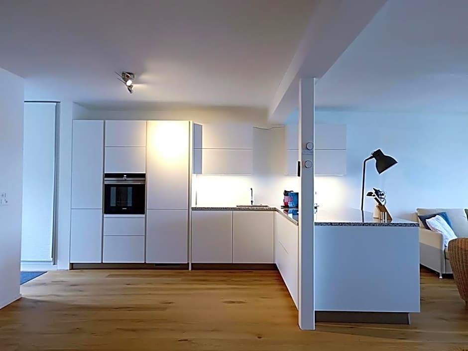 Lake View Apartments Beinwil am See (30 km to Lucerne)