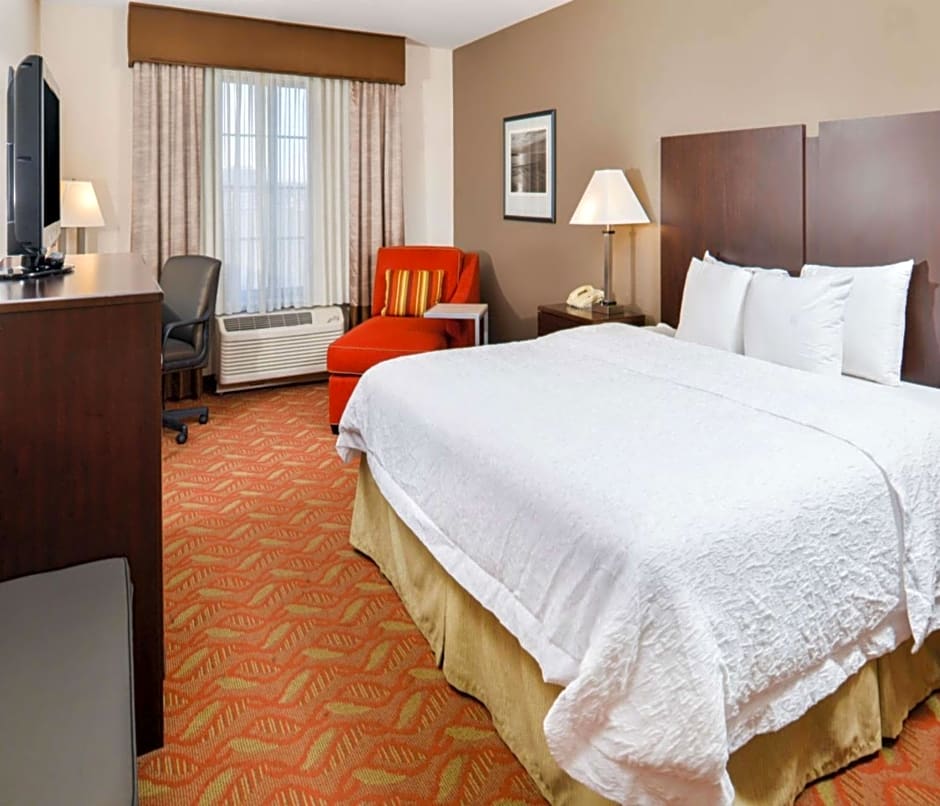 Hampton Inn By Hilton & Suites San Francisco-Burlingame, Ca