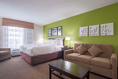 1 King Bed  Suite  No Smoking  Accessible Room