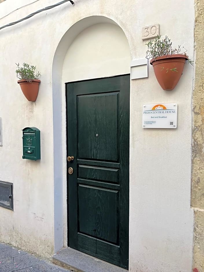 Pizzo Central House