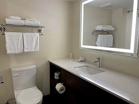 1 Queen 1 Bedroom Suite Pool Access