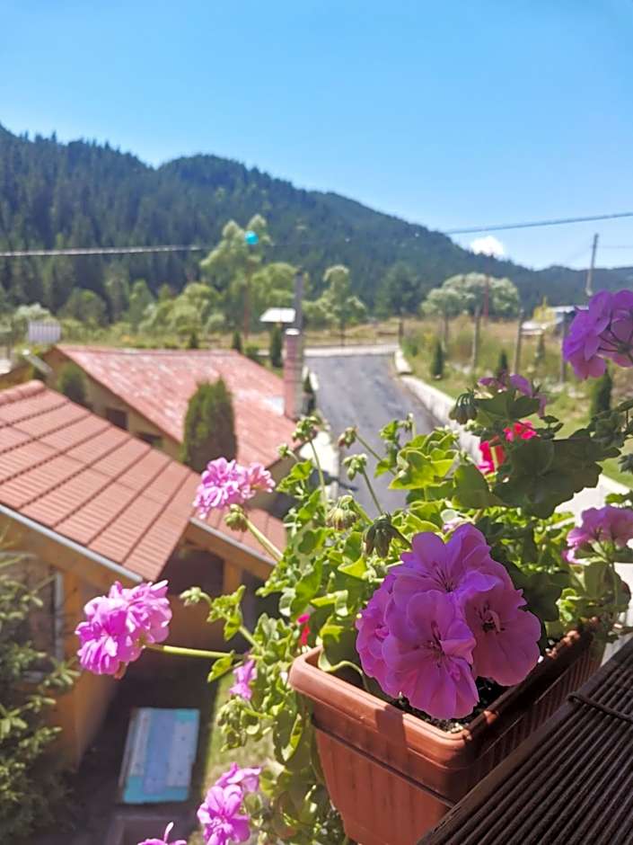 Вила Дяволска пътека