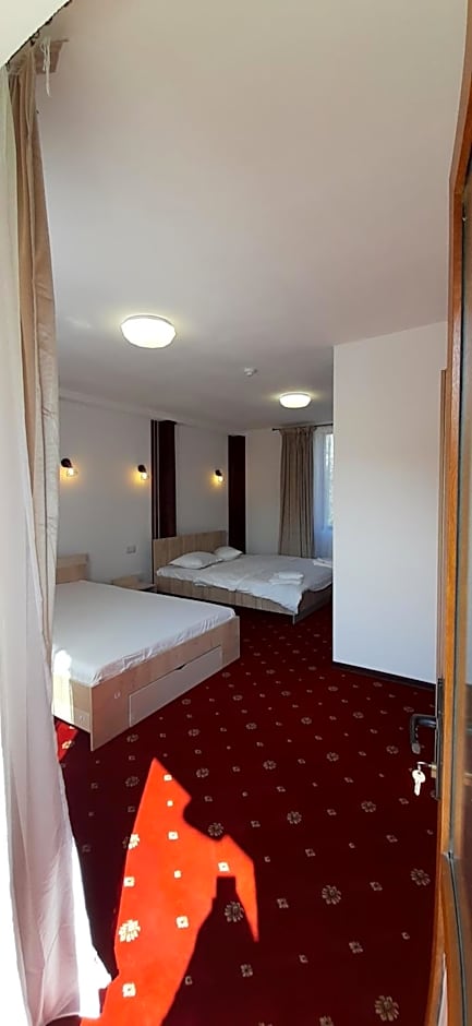 Pensiunea Montan din Bran,sat Simon SPA indoor