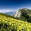 Hotel Monte Baldo