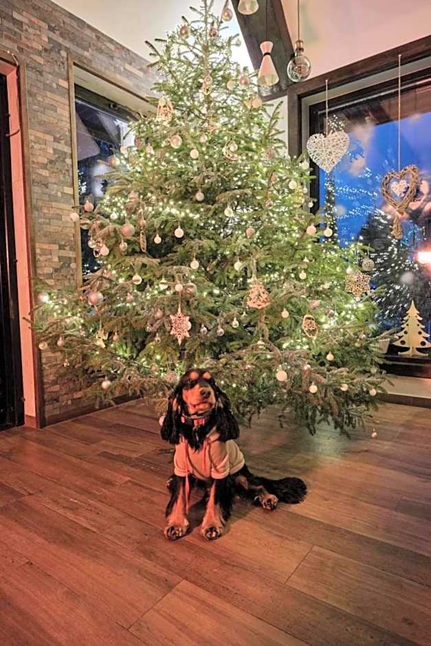 Villa Biesisko Przysłup Cisna