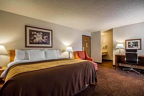 1 King Bed, Nonsmoking
