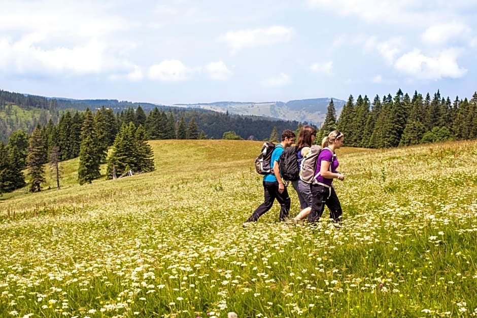 Ferienhotel Schwarzwälder Hof