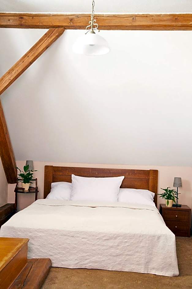 Hotel U Zlatého Lva