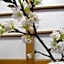 Wakaba Ryokan / Vacation STAY 29362