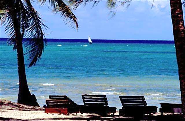 Turtle Bay Beach Club- All Inclusive