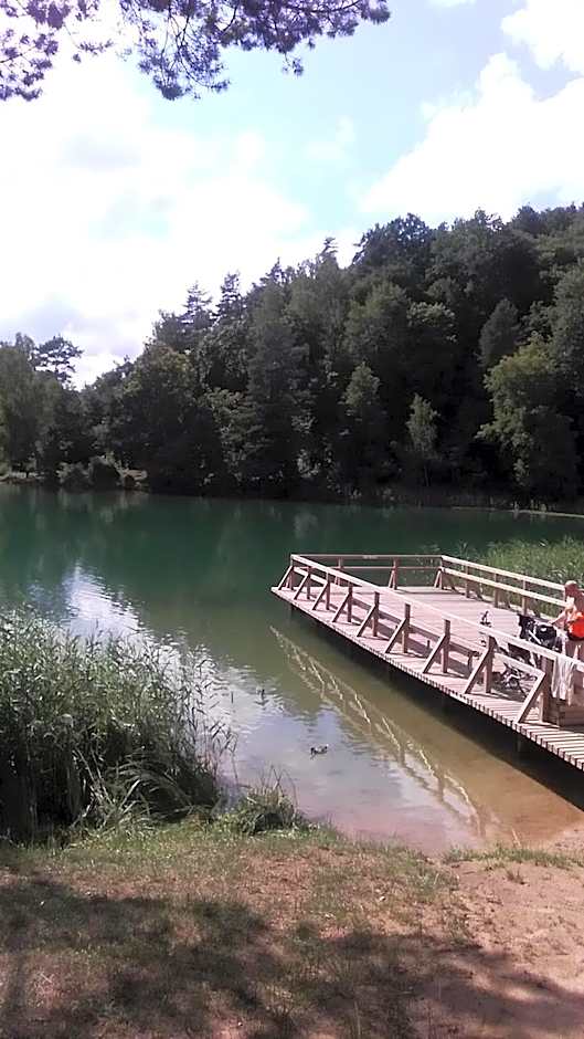 Ginto svetingi namai