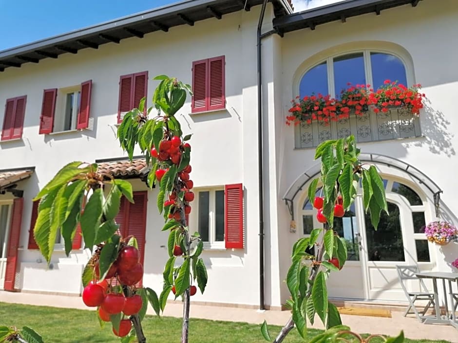 la Mafalda in Oltrepo