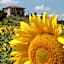 B&B Il Girasole - Rooms & House in country - air conditioned - 1500 meters from historic center
