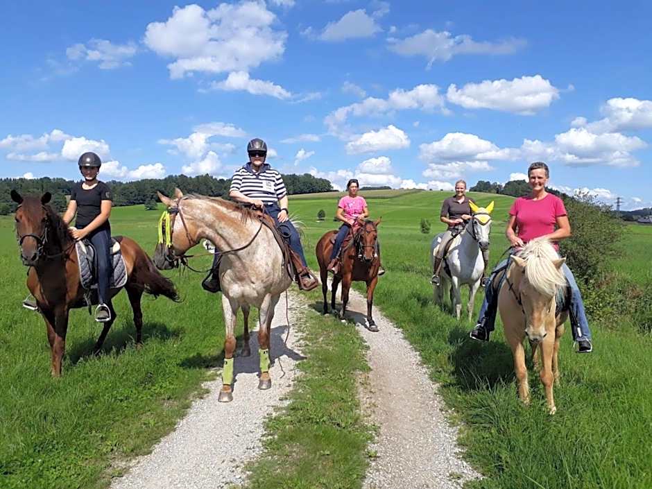 Der Blankhof "Back to Roots"