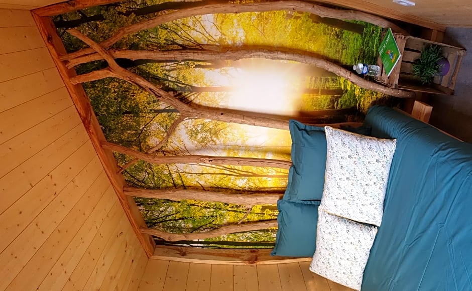 Kabanéo - gîte et sauna- Samois sur Seine - Forêt de Fontainebleau