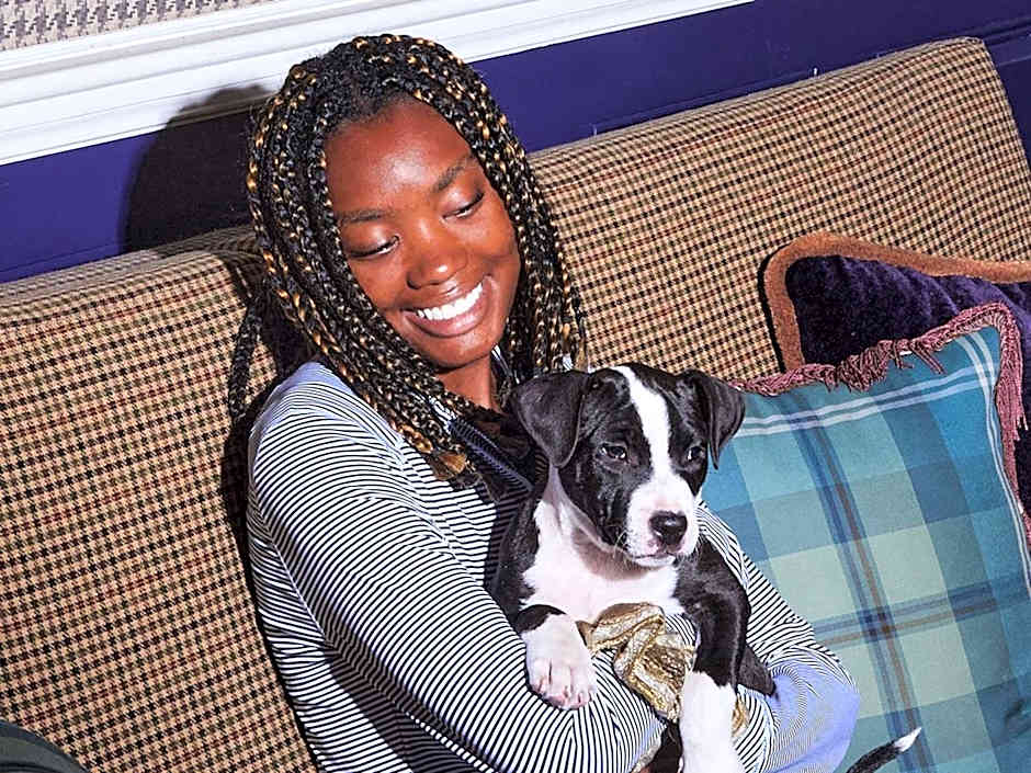 Graduate by Hilton Iowa City