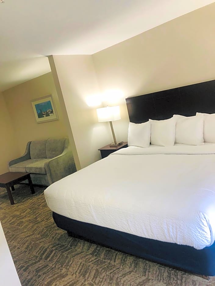 Best Western Plus Lafayette Vermilion River Inn & Suites