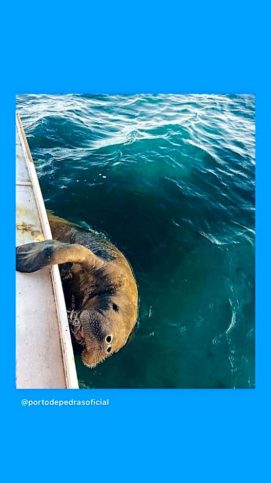 Chalés Solar do Patacho