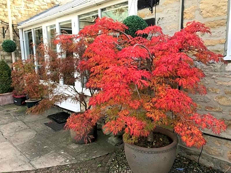 Stilworth House